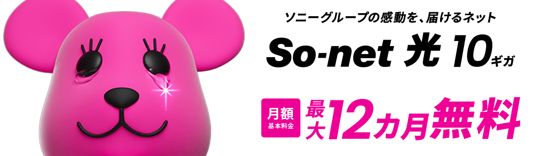 ソニーグループの感動を、届けるネットSo-net 光 10ギガ 月額基本料金最大12カ月無料