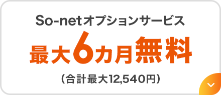 So-netオプションサービス最大6カ月無料（合計最大12,540円）