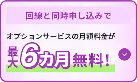 回線と同時申し込みで オプションサービスの月額料金が最大6カ月無料！