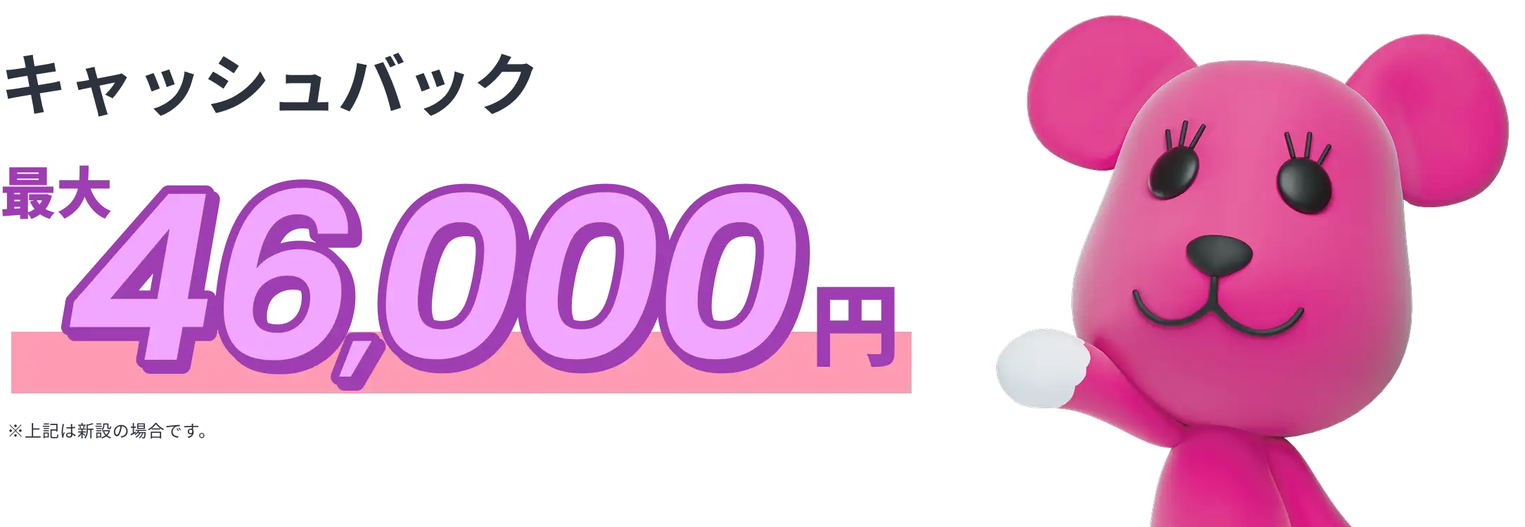 キャッシュバック最大46,000円 ※上記は新設の場合です
