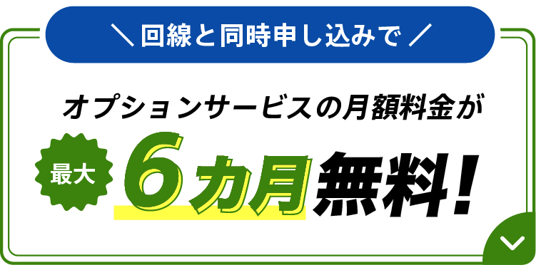 回線と同時申し込みでオプションサービスの月額料金が最大6カ月無料！