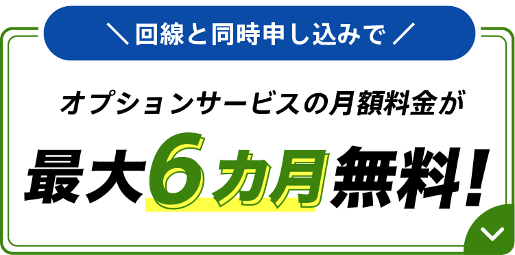 回線と同時申し込みでオプションサービスの月額料金が最大6カ月無料！