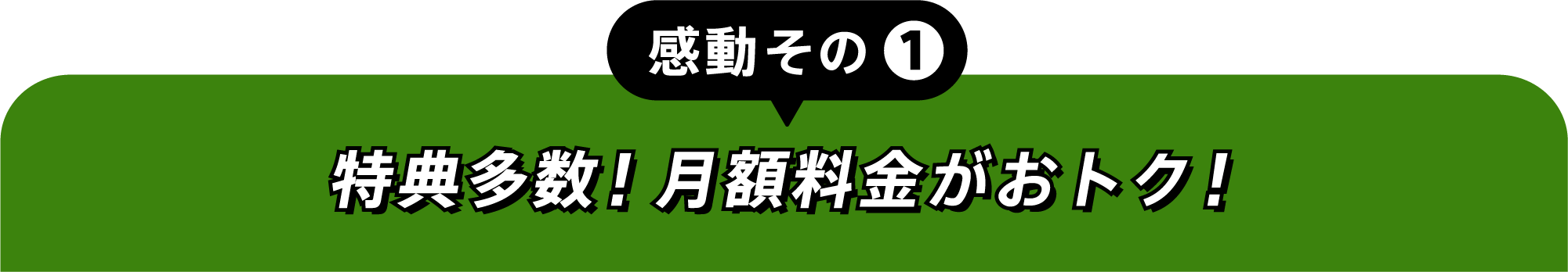 感動その①特典多数！月額料金がおトク！