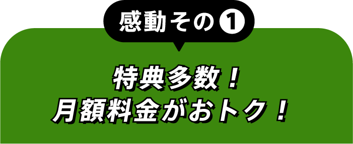 感動その①特典多数！月額料金がおトク！