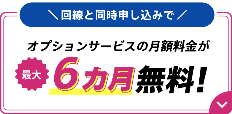 回線と同時申し込みでオプションサービスの月額料金が最大6カ月無料！