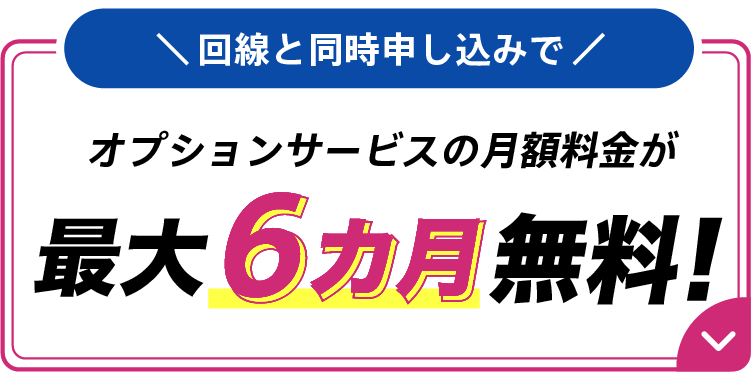 回線と同時申し込みでオプションサービスの月額料金が最大6カ月無料！