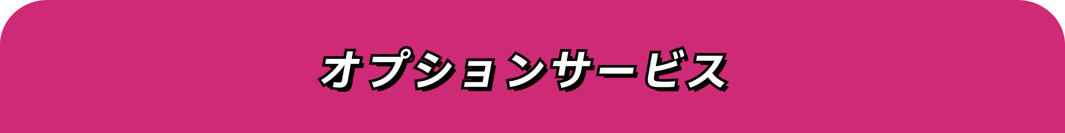 オプションサービス