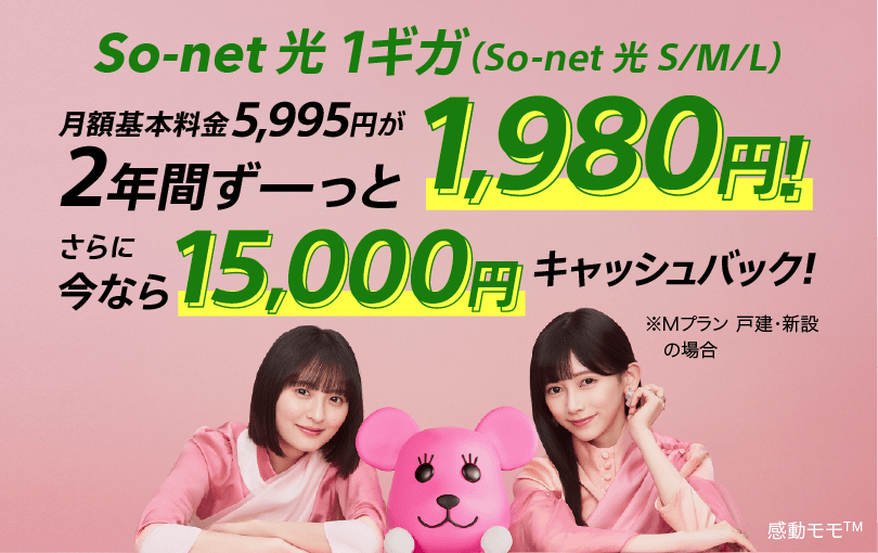 So-net 光 1ギガ（So-net 光 S/M/L） 月額基本料金5,995円が2年間ずーっと1,980円 さらに今なら15,000円キャッシュバック ※Mプラン 戸建・新設の場合