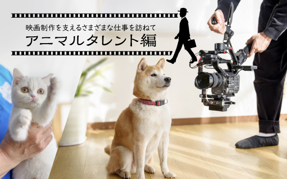 映画を名作にする“アニマルタレント”の世界。アニマルトレーナー・北村まゆみさんにインタビュー