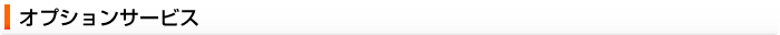 オプションサービス