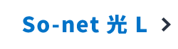 So-net 光 L