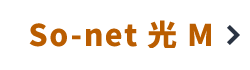 So-net 光 M