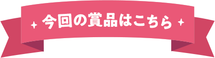 今回の商品はこちら