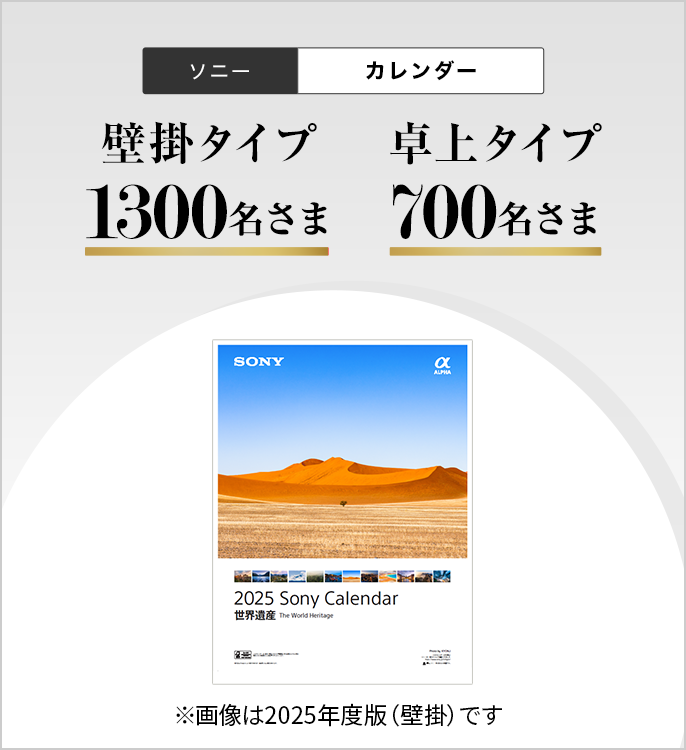 ソニーカレンダー 壁掛タイプ300名さま 卓上タイプ700名さま ※画像は2024年版(壁掛)です