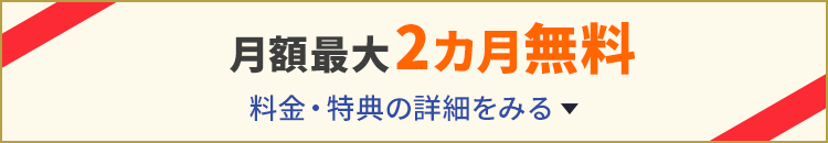 月額最大2カ月無料 料金・特典の詳細を見る