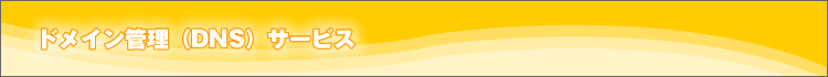 ドメイン管理（DNS）サービス