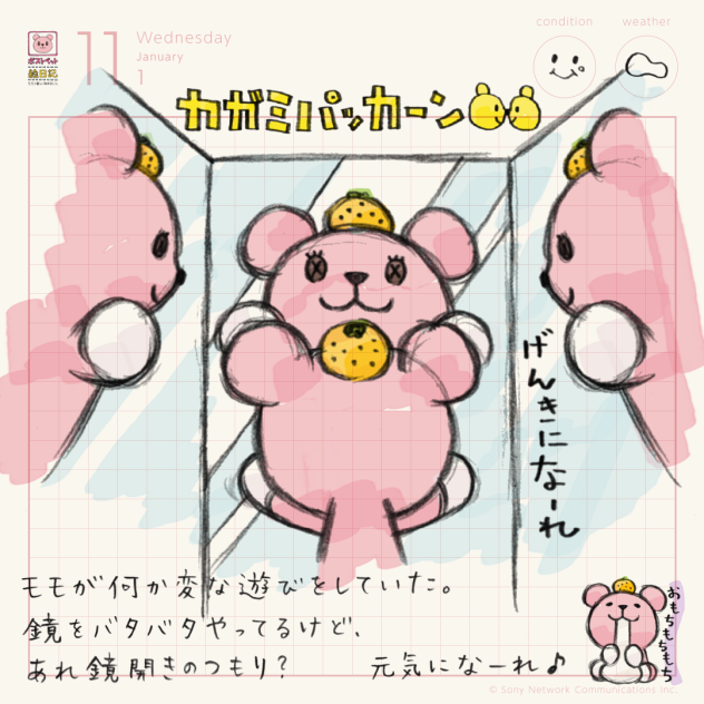 カガミパッカーン