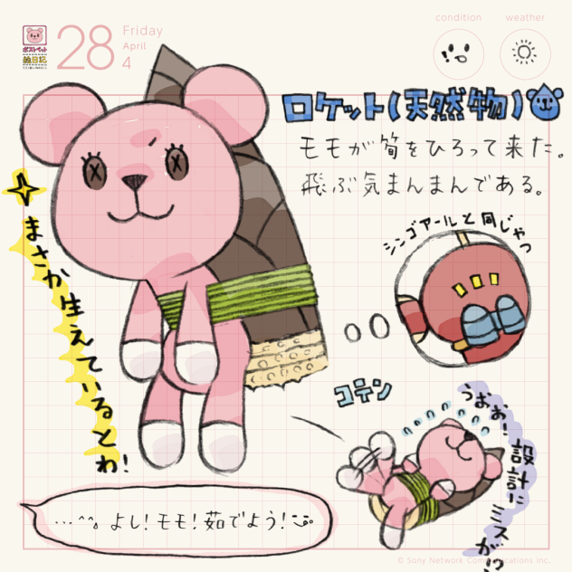 ロケット（天然物）