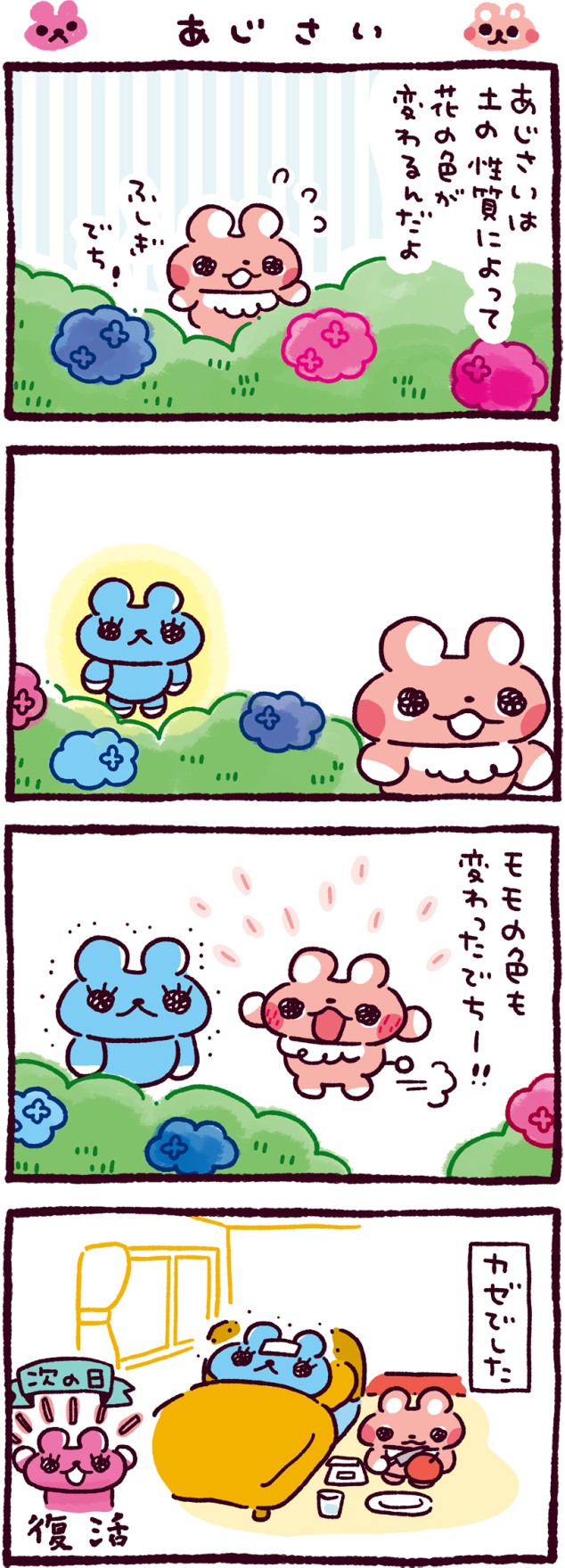 あじさい